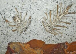 010 - detail monolith dreamer